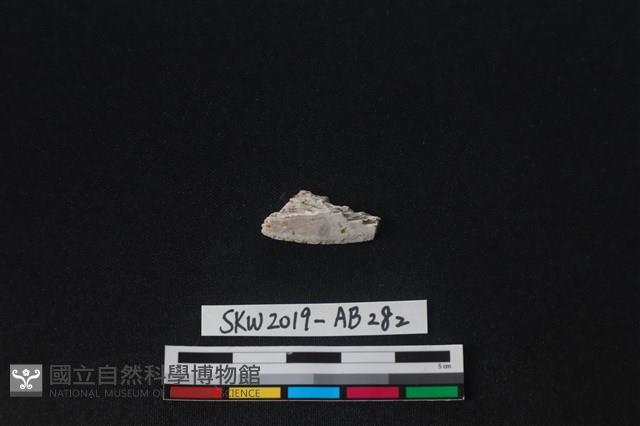 獸骨藏品圖，第2張