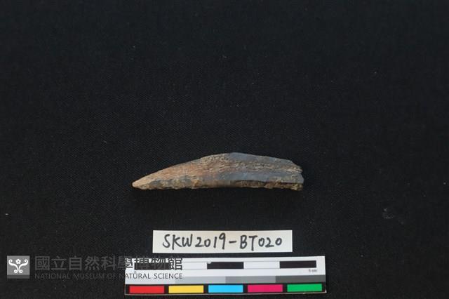 魚卡子藏品圖，第2張