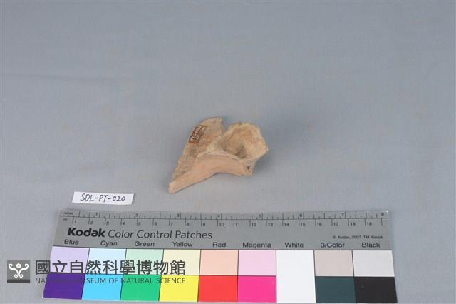 連杯形器藏品圖，第2張