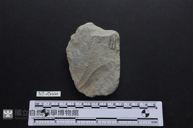 斧鋤形器藏品圖，第2張