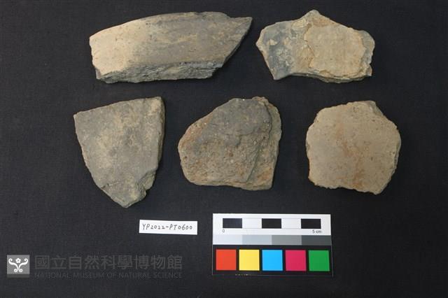 陶片藏品圖，第2張