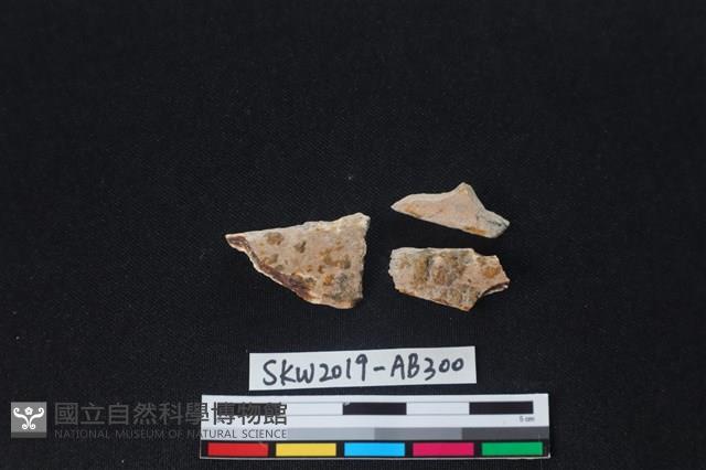 獸骨藏品圖，第2張