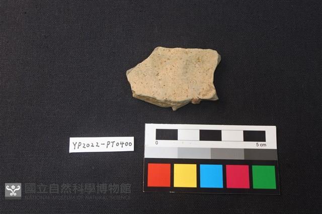 陶片藏品圖，第2張
