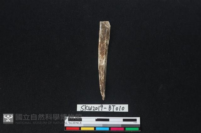 骨尖器藏品圖，第2張