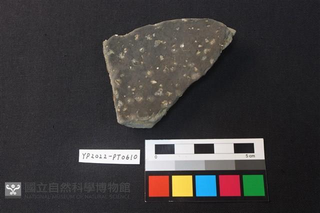 陶片藏品圖，第2張