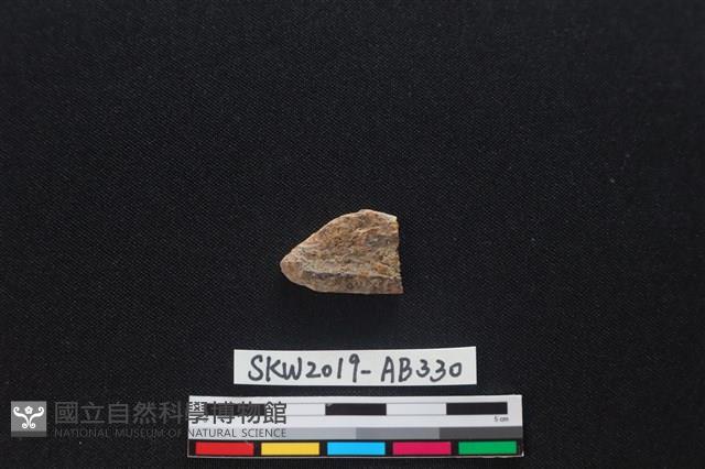 獸骨藏品圖，第2張