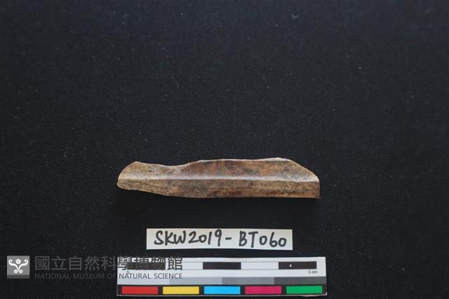 磨製骨器藏品圖，第2張