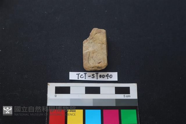 錛鑿形器藏品圖，第2張