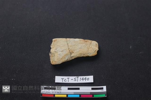 石刀藏品圖，第2張