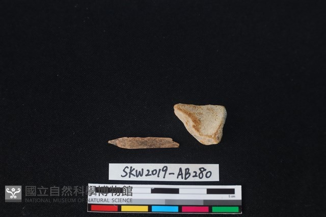 獸骨藏品圖，第2張