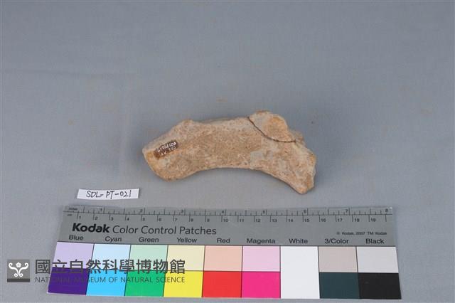 陶罐藏品圖，第2張