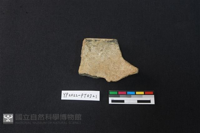 陶片藏品圖，第2張