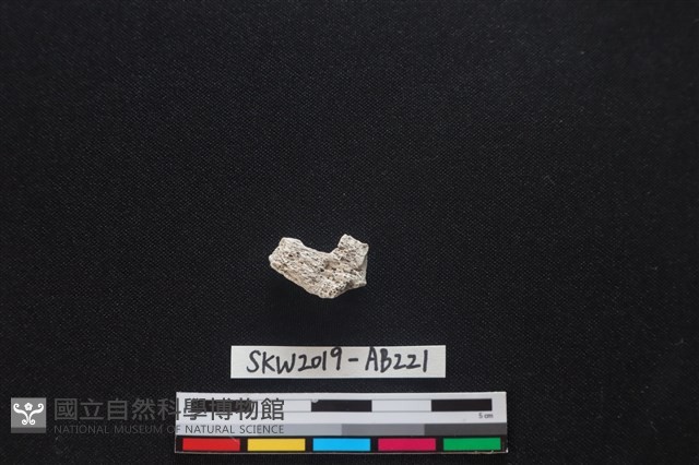 獸骨藏品圖，第2張