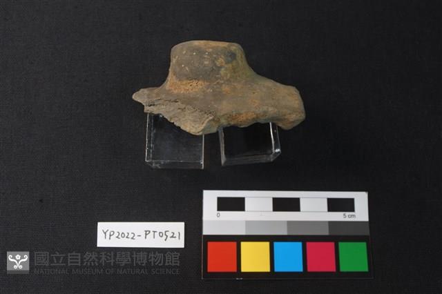 陶片藏品圖，第2張