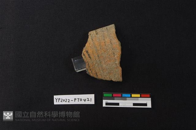 陶片藏品圖，第2張