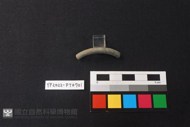 陶環藏品圖，第2張