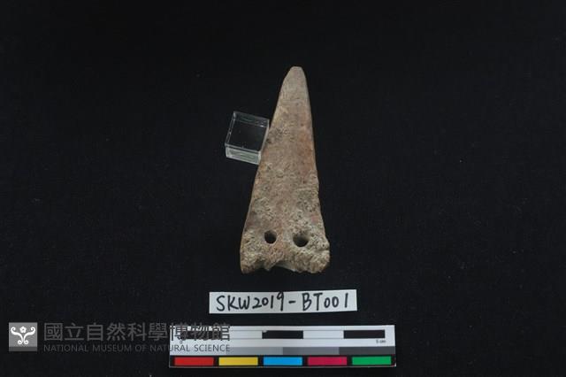 骨鏃藏品圖，第2張