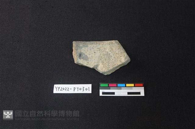 陶片藏品圖，第2張