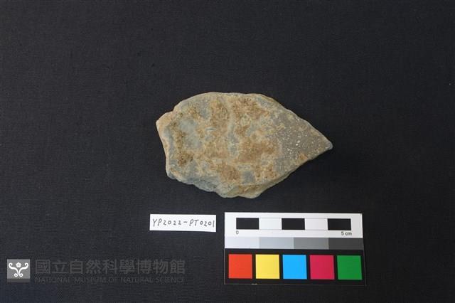 陶片藏品圖，第2張