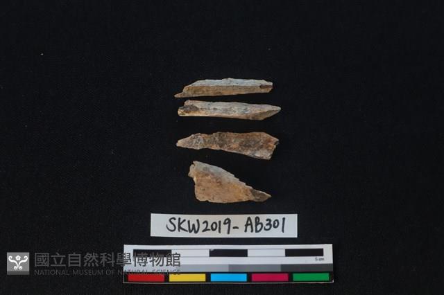 獸骨藏品圖，第2張