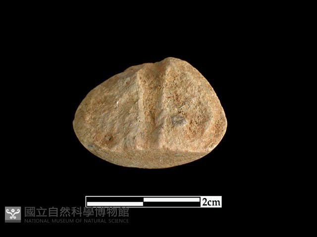 陶紡輪藏品圖，第2張