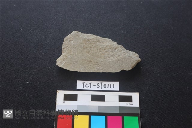 磨製斧鋤形器藏品圖，第2張