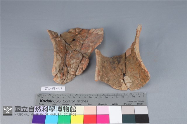 連杯形器藏品圖，第2張