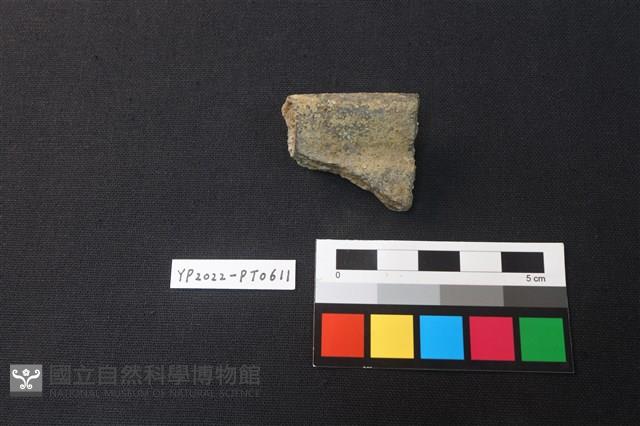 陶片藏品圖，第2張
