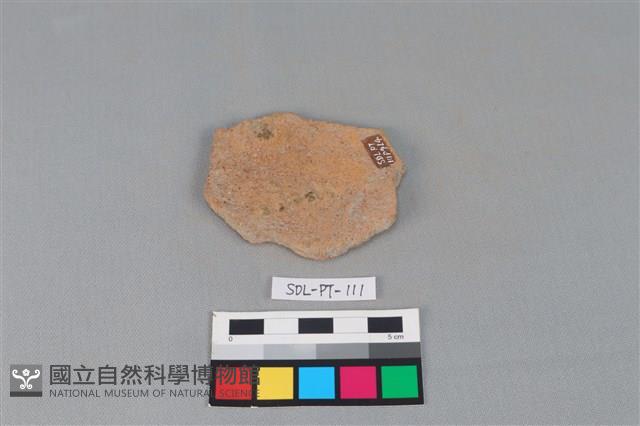 陶片藏品圖，第2張