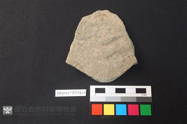 陶片藏品圖，第2張