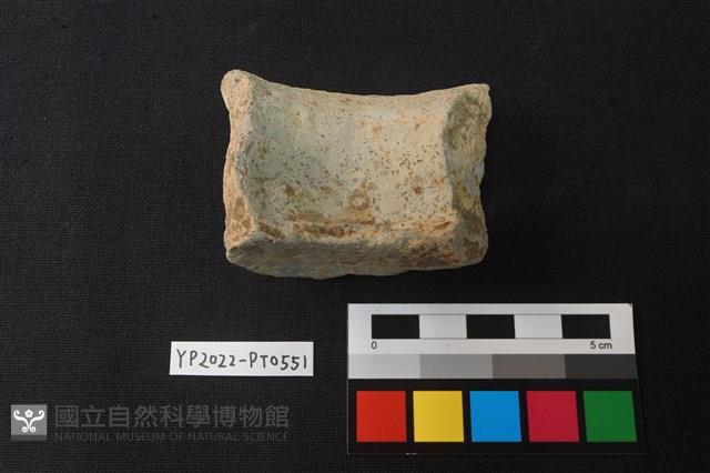 陶片藏品圖，第2張