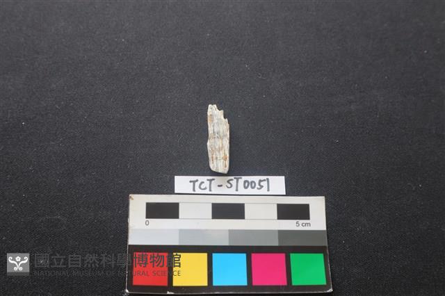 錛鑿形器藏品圖，第2張