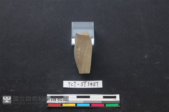 錛鑿形器藏品圖，第2張