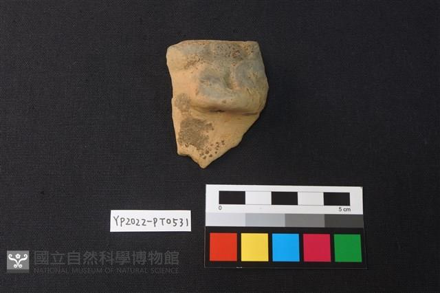 陶片藏品圖，第2張