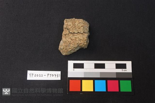 陶片藏品圖，第2張