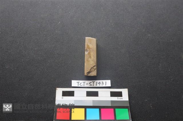 錛鑿形器藏品圖，第2張