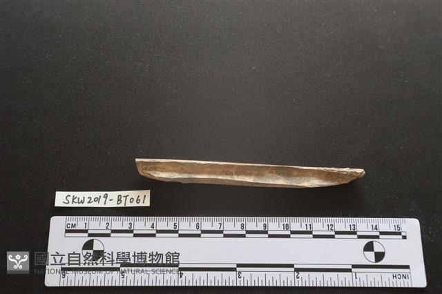 磨製骨器藏品圖，第2張