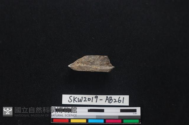 獸骨藏品圖，第2張