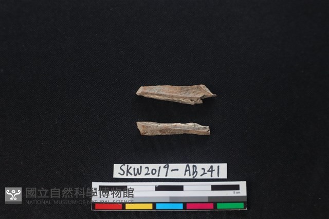 獸骨藏品圖，第2張