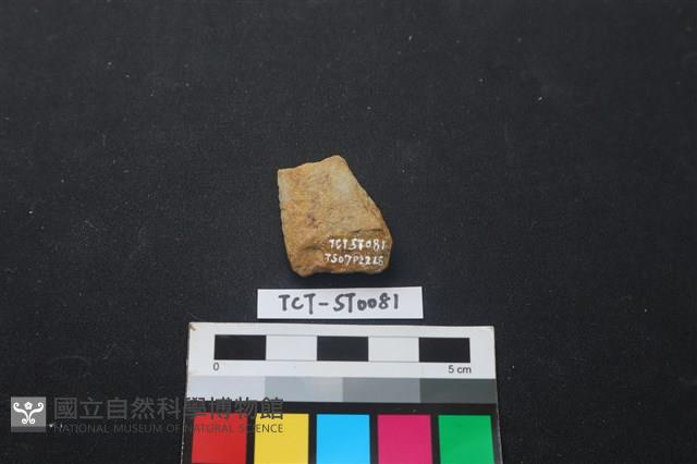 矛鏃形器藏品圖，第2張