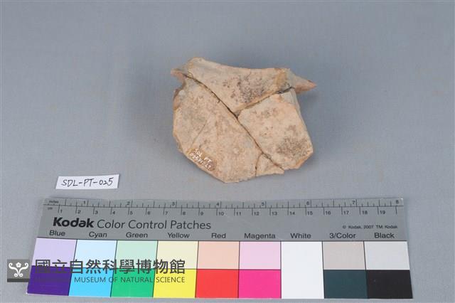 陶罐藏品圖，第2張