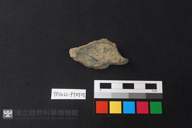 陶片藏品圖，第2張