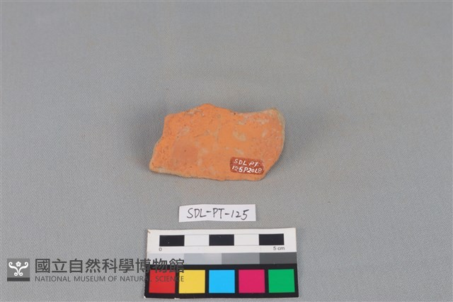 陶罐藏品圖，第2張
