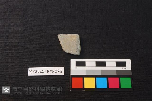 陶片藏品圖，第2張