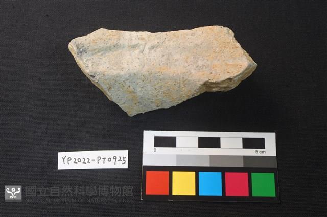 陶片藏品圖，第2張