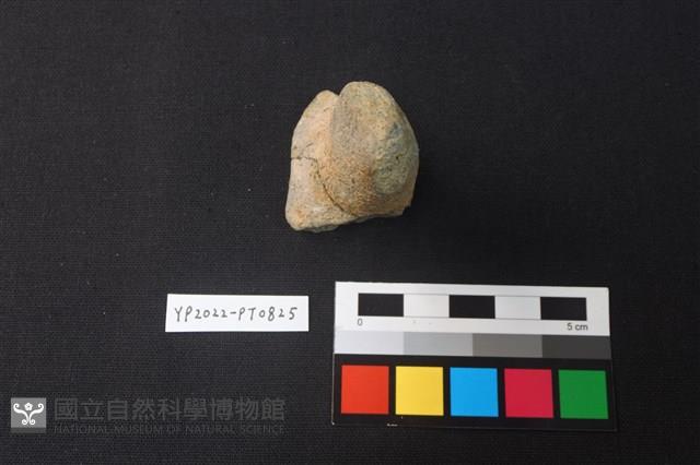 陶鈕藏品圖，第2張