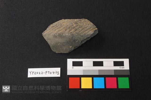 陶片藏品圖，第2張