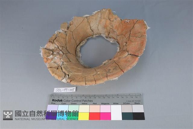 連杯形器藏品圖，第2張