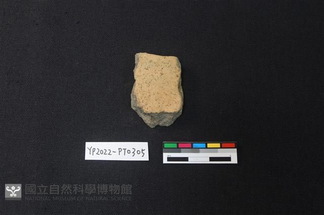 陶片藏品圖，第2張