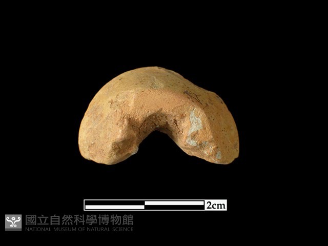 陶紡輪藏品圖，第2張